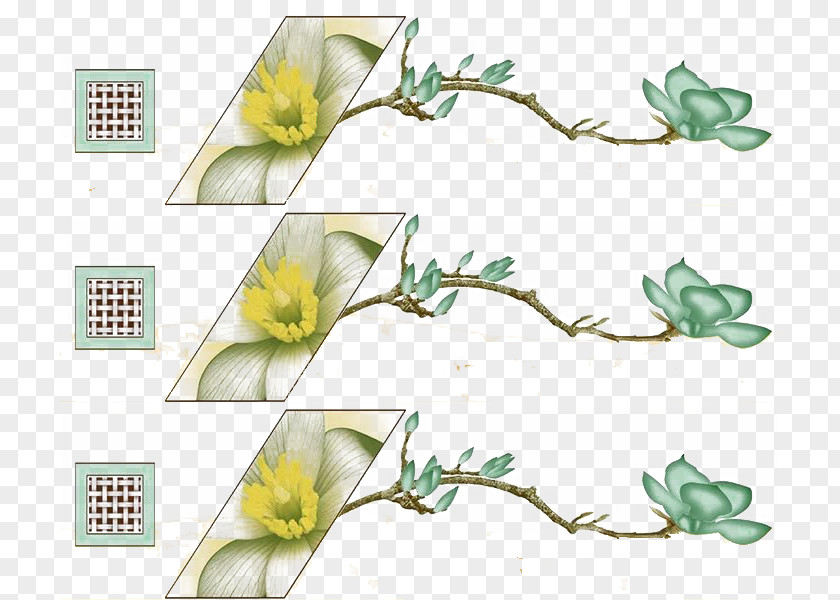 Quadrilateral Box Flowers Ah Green Square PNG