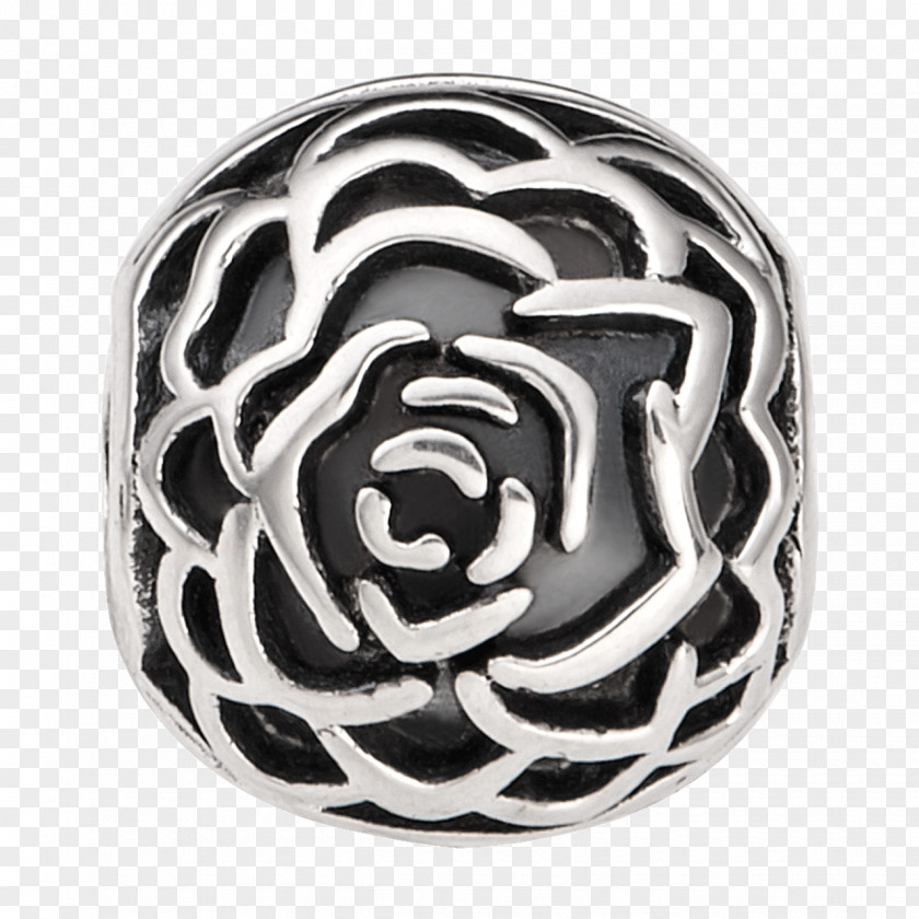 Silver Body Jewellery PNG