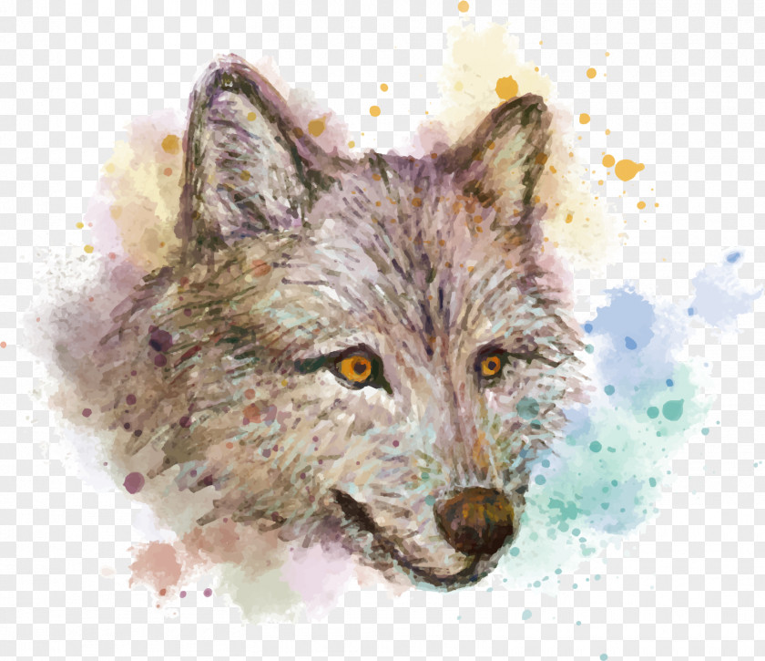 Vector Hand Painted Watercolor Wolf Gray Painting Red Fox Drawing PNG