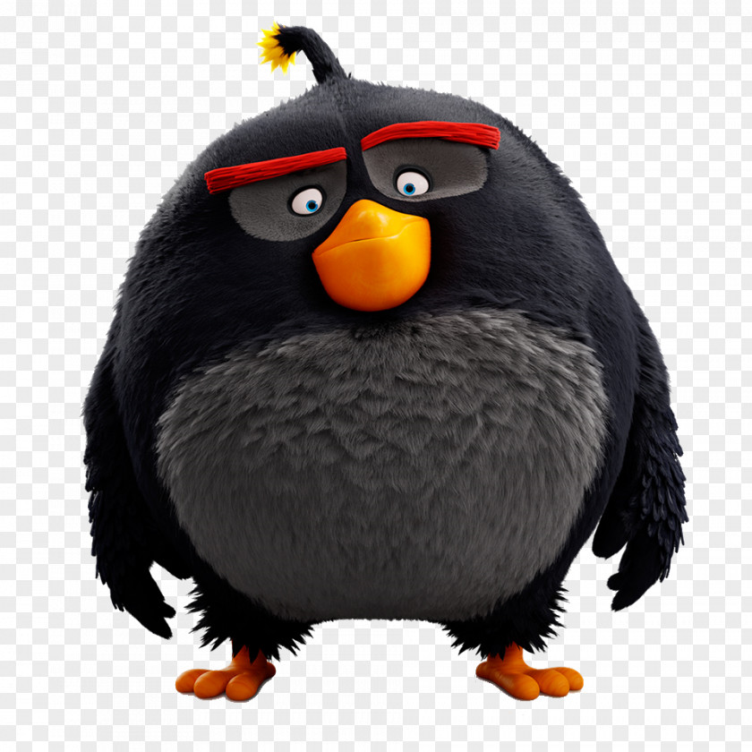 Angry Birds Friends Action! Fight! Film PNG