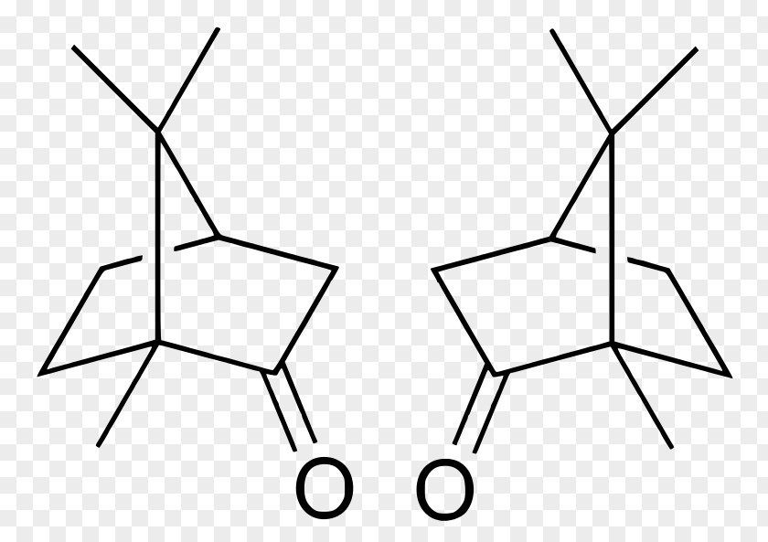 Camphor Tree Bornane-2,3-dione Terpene Cinnamon PNG