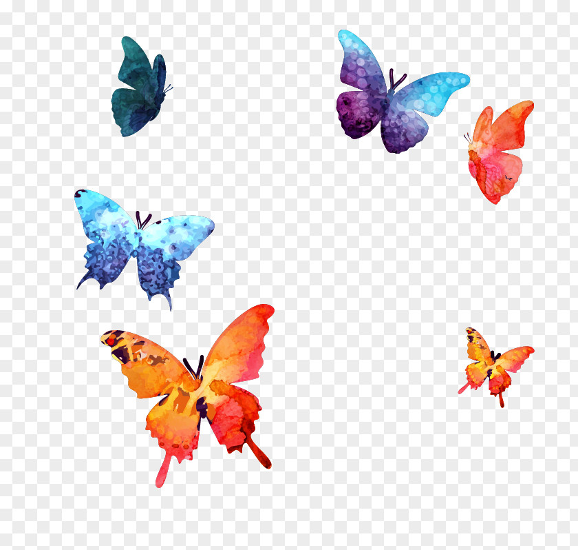 Cartoon Drawing Butterfly Watercolor Painting Logo PNG