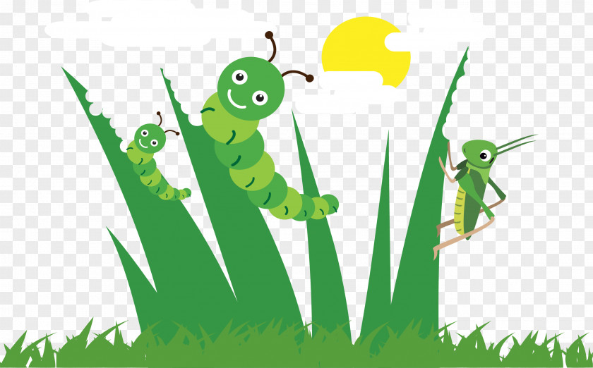 Caterpillars On The Grass Adobe Illustrator Illustration PNG