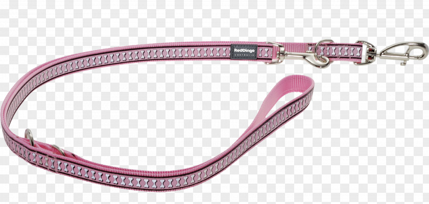 Dog Leash Dingo Lead Pink M PNG