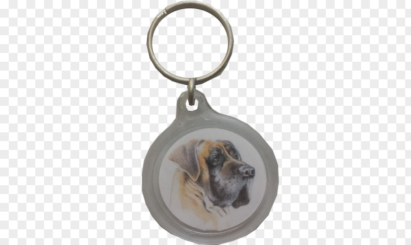 Hond Dog Breed Poodle Key Chains Snout Assortment Strategies PNG