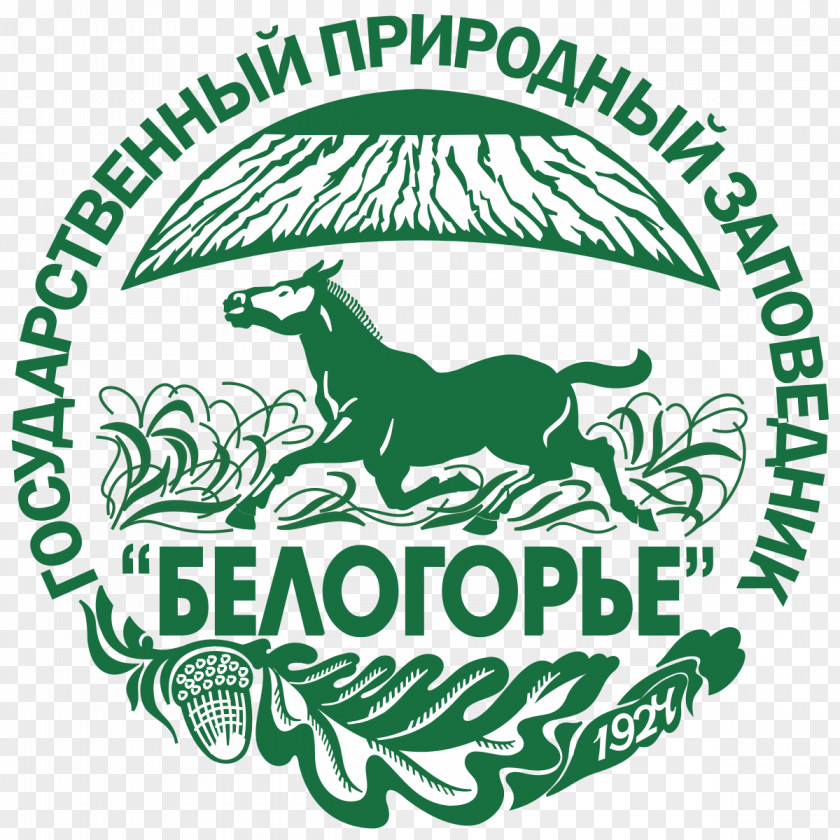 Horse Belogorye Nature Reserve Les Na Vorskle Tarpan Belgorod PNG