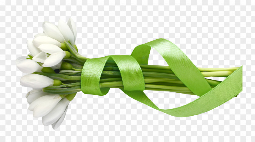 Image Centerblog Flower Snowdrop PNG