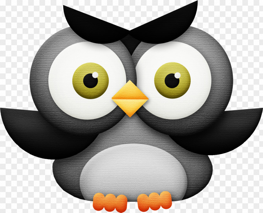 Little Owl Penguin Beak Clip Art PNG