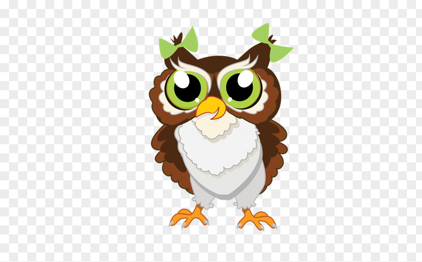 Owl Stock Illustration Vector Graphics Photography PNG