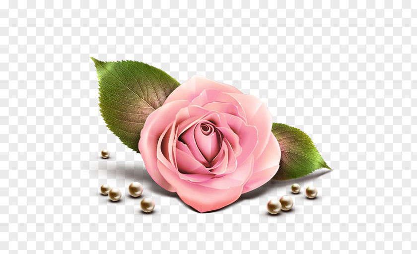 Picture Of Pink Rose Clip Art PNG