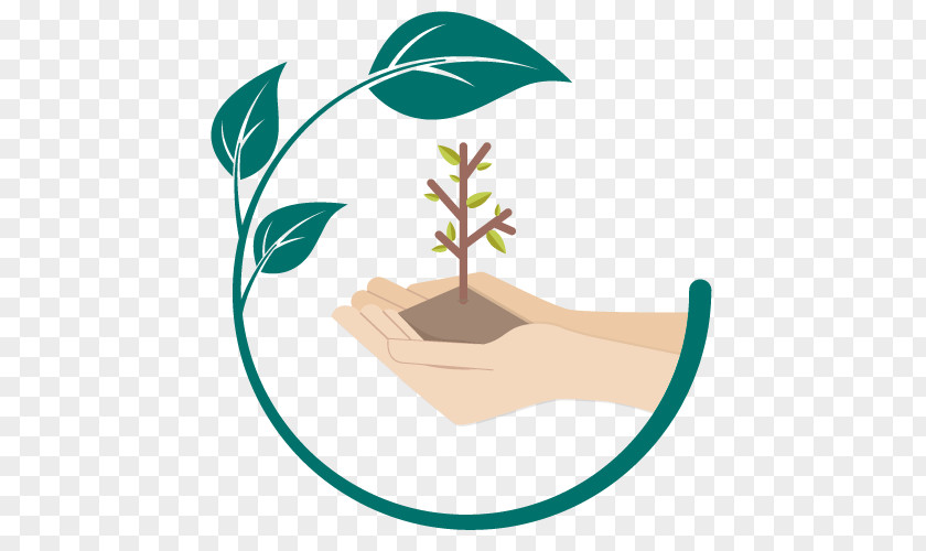 Tree Sowing Warmtepompspecialist Organization Crop PNG