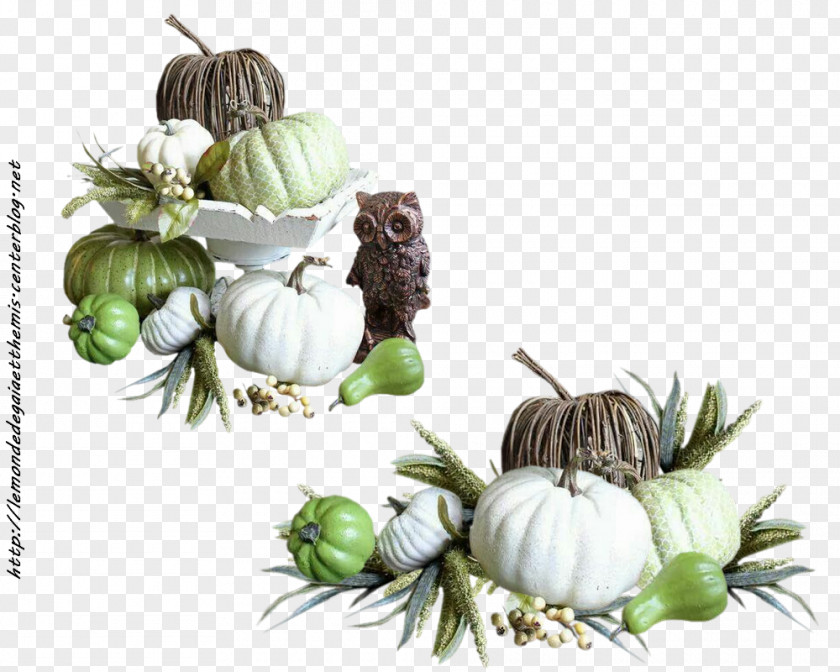 Mondial GOURD+m Winter Squash Cucurbita Fruit PNG