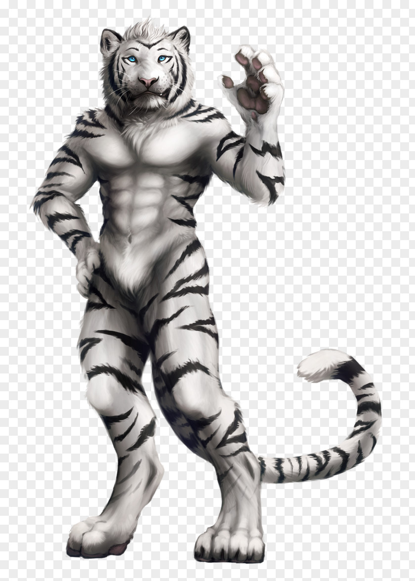 Tiger Big Cat Claw Puma PNG