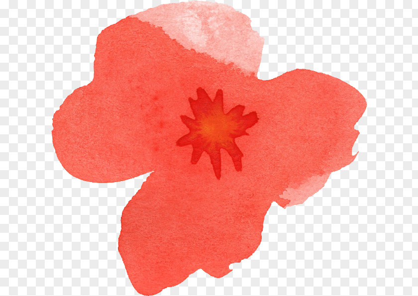 Watercolor Flower Watercolour Flowers Painting Poppy PNG
