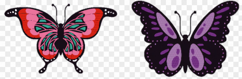 Wing Insect Butterfly Tattoo PNG