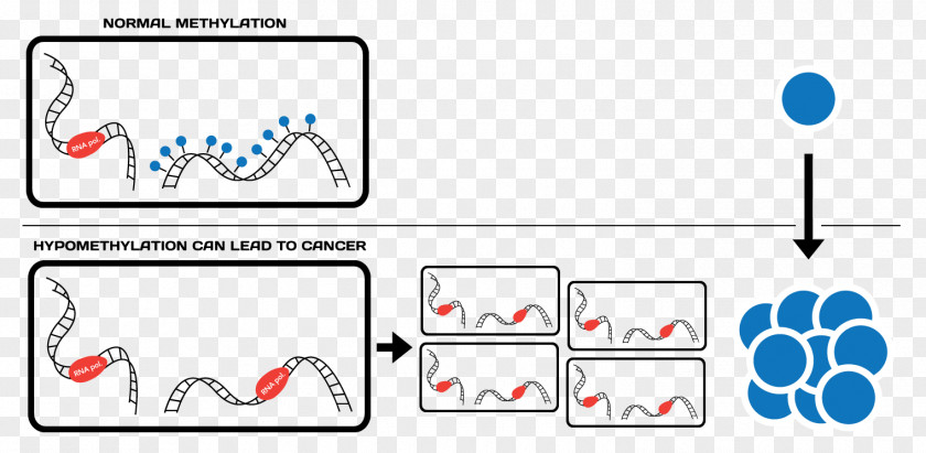 Cancer Cell Of Globular Pathogen Epigenetics DNA Methylation Gene Expression CRISPR PNG