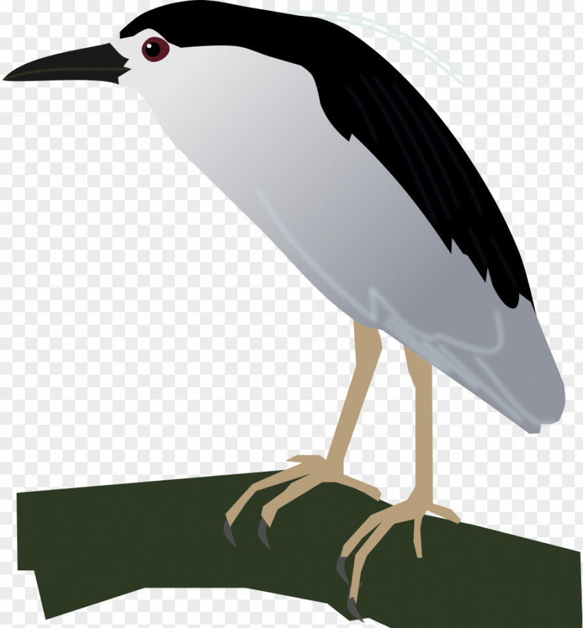 Crane Black-crowned Night Heron Bird Stork PNG