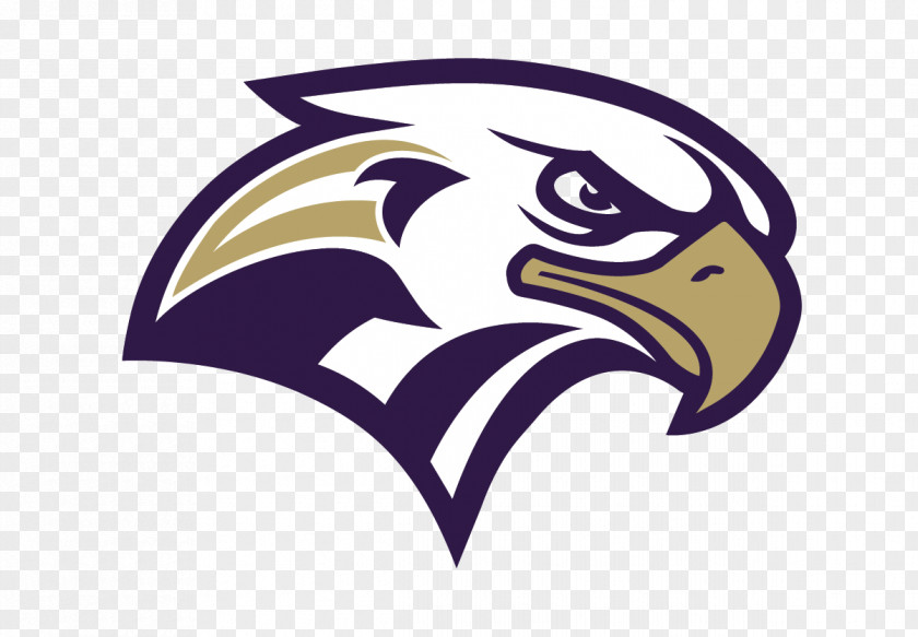 Eagle Bald Logo Beak Philadelphia Eagles PNG