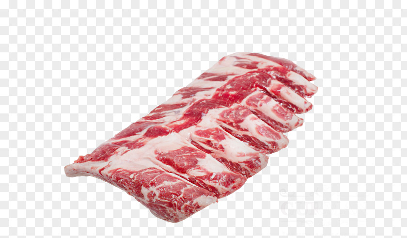 Meat Spare Ribs Capocollo Beef Salami PNG