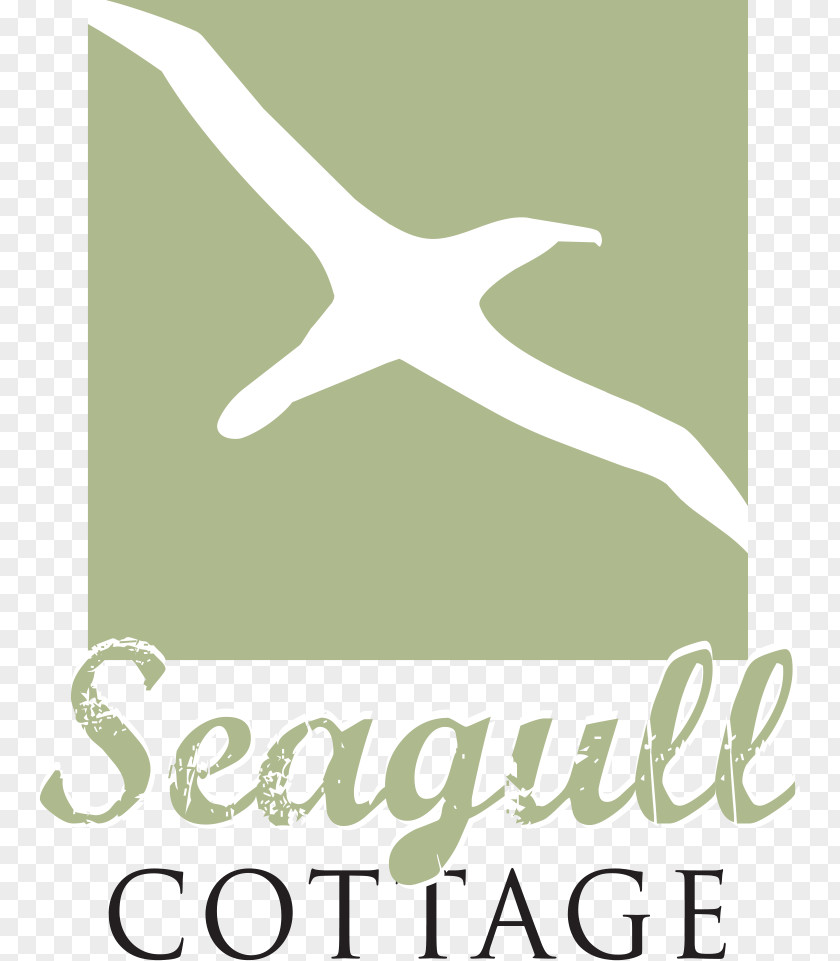 Seagul Logo Brand El Segundo Font PNG