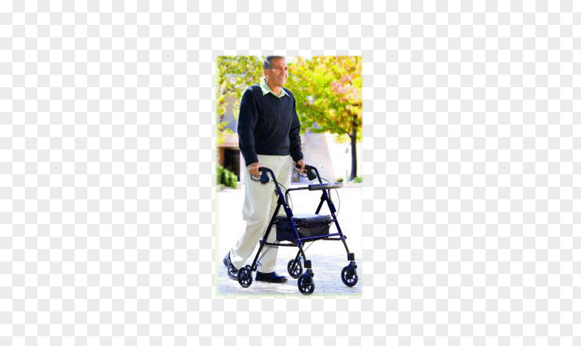 Carex Hystericina Wheelchair Walker Rollaattori Health Care PNG