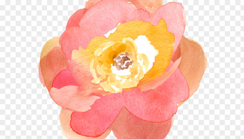 Flower Clip Art Watercolor: Flowers Floral Bouquets Watercolor Painting PNG