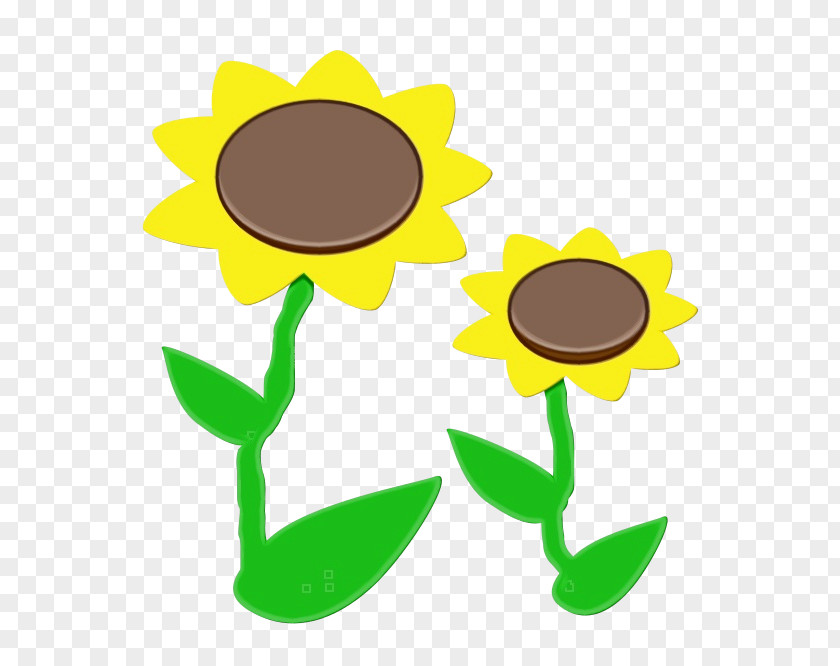 Plant Stem Sunflower PNG