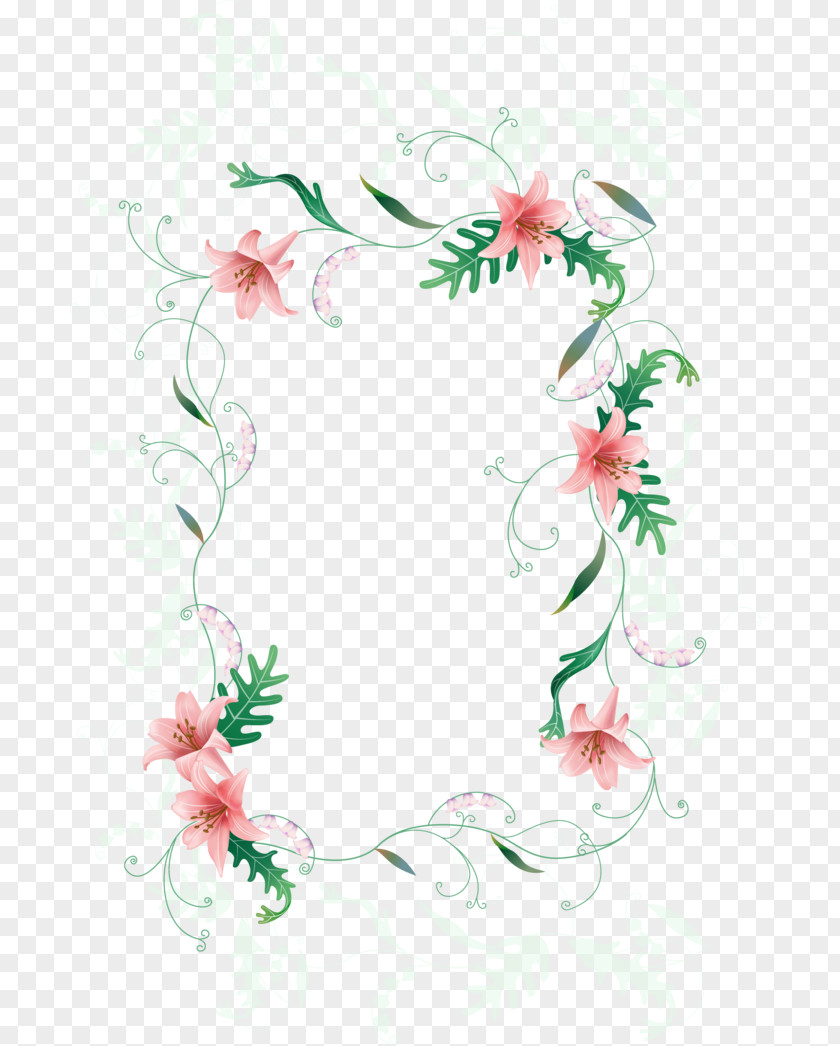 Stargazer Lily Frames Floral Design Flower Rose Family Illustration PNG
