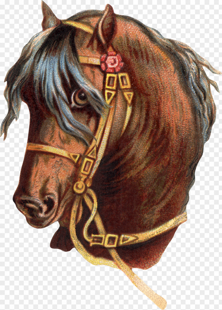 Watercolor Horse Photography Royalty-free Clip Art PNG