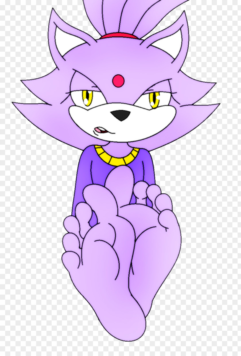 Cat Whiskers Amy Rose Foot Blaze The Sole PNG