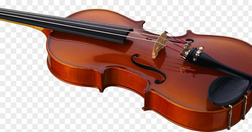 Violin Violone Bass Viola Fiddle PNG