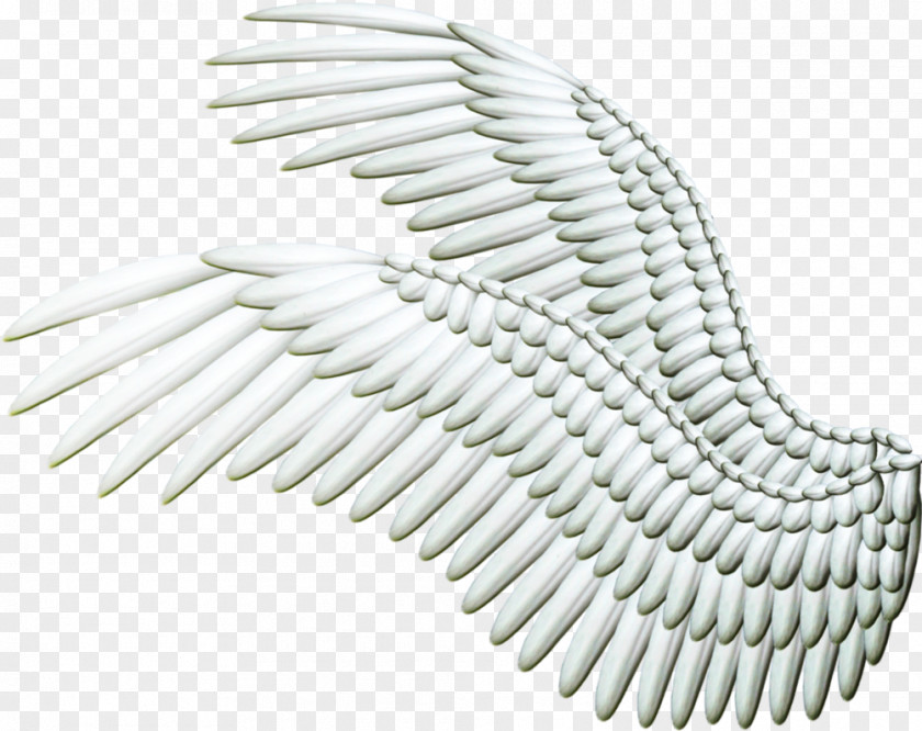 Wings Angel Wing Clip Art PNG