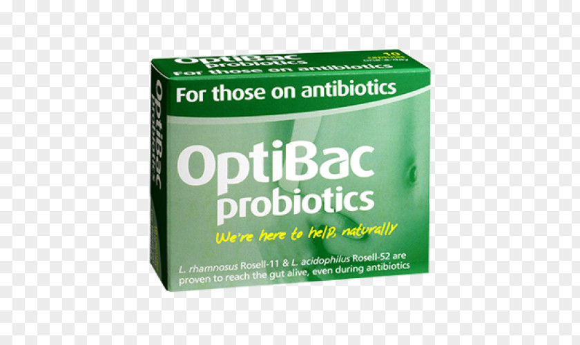 Antibiotic Dietary Supplement Probiotic Saccharomyces Boulardii Lactobacillus Acidophilus Gastrointestinal Tract PNG