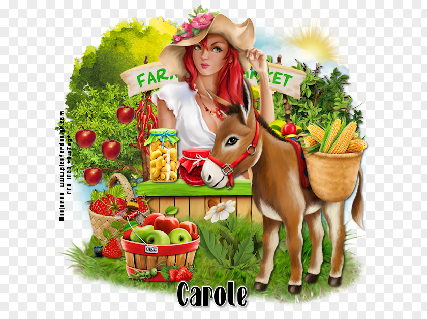 Horse Food Pack Animal Photomontage PNG