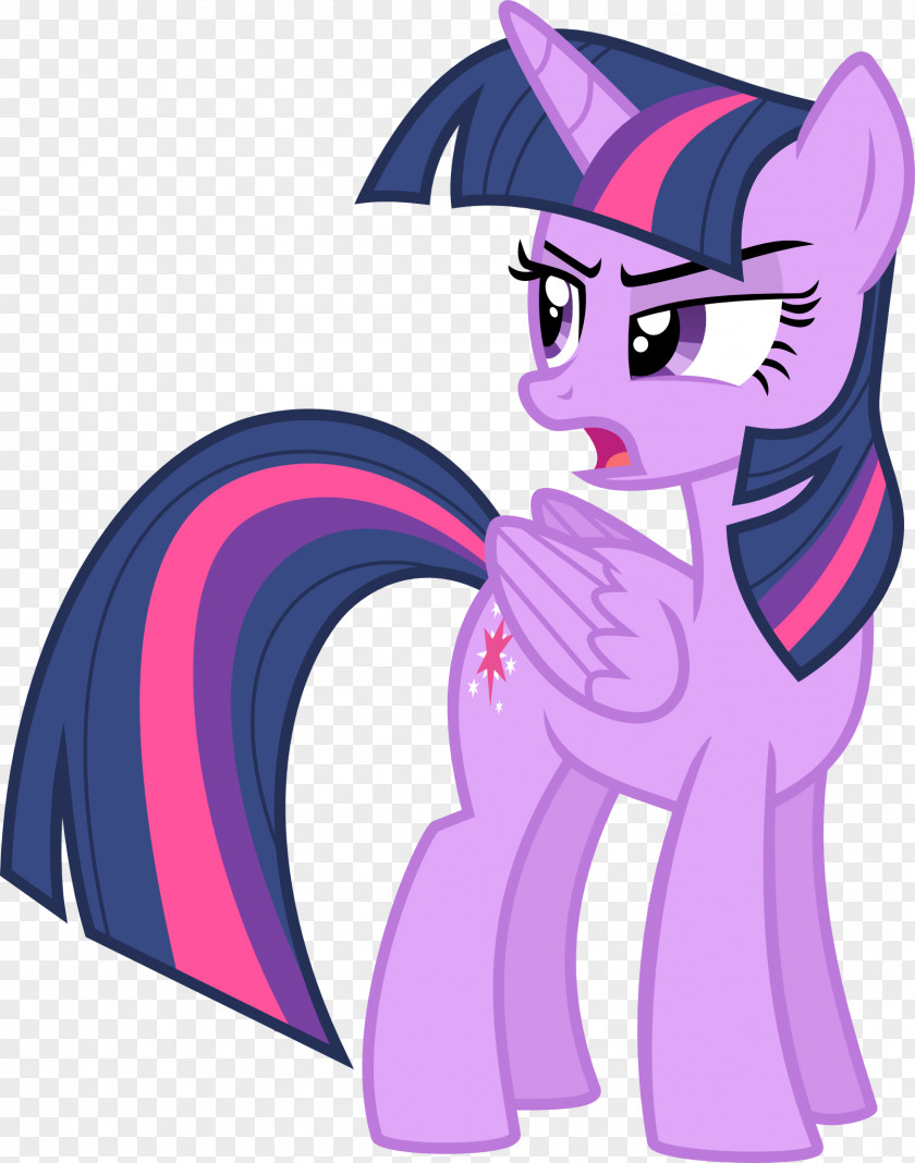 Twilight Sparkle Pinkie Pie Rainbow Dash Princess Celestia Pony PNG