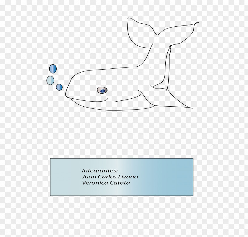 Ballena Paper Marine Mammal Logo Product Design PNG