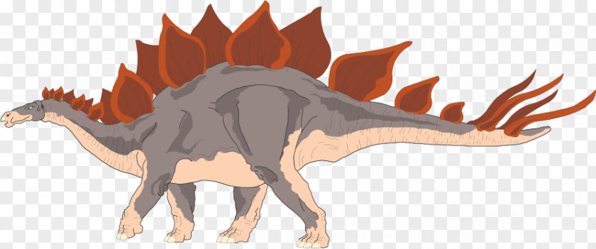 Challenge Velociraptor Stegosaurus Tyrannosaurus Triceratops Dinosaur PNG