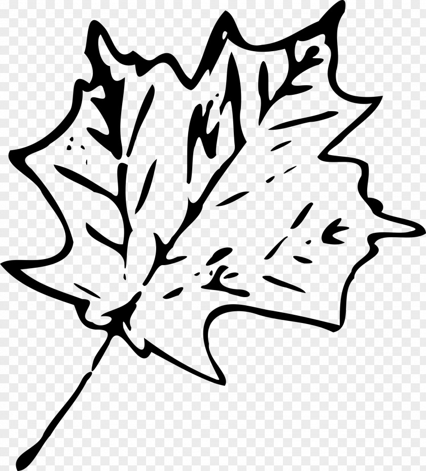 Leafe Maple Leaf Canada Clip Art PNG