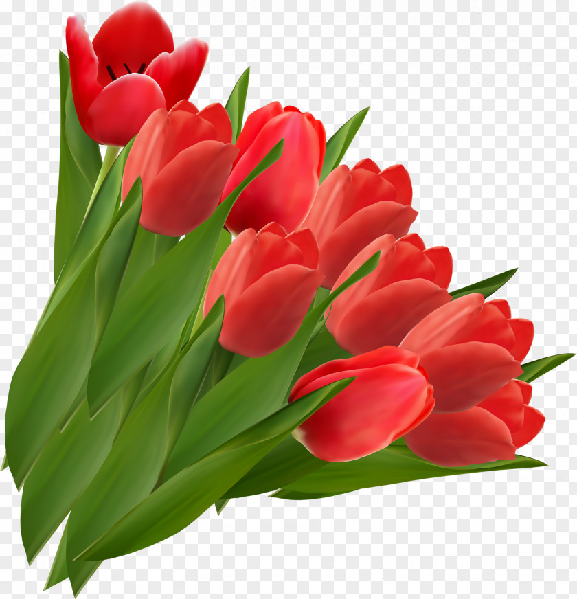 Tulip Clip Art Openclipart Red Flower PNG