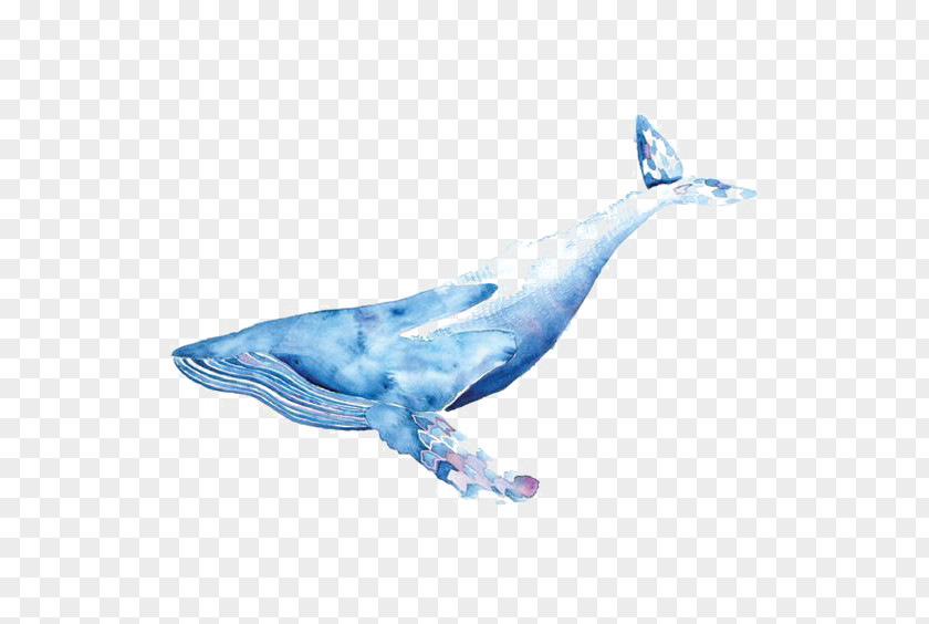 Watercolor Whale Blue Painting Drawing Illustration PNG
