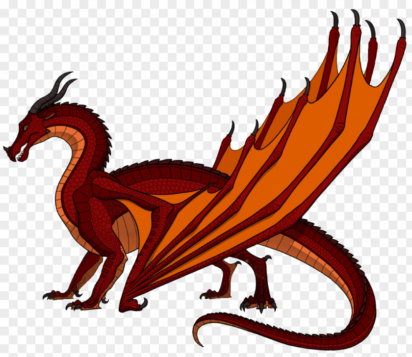 Anemone Wings Of Fire The Dragonet Prophecy Chicken PNG