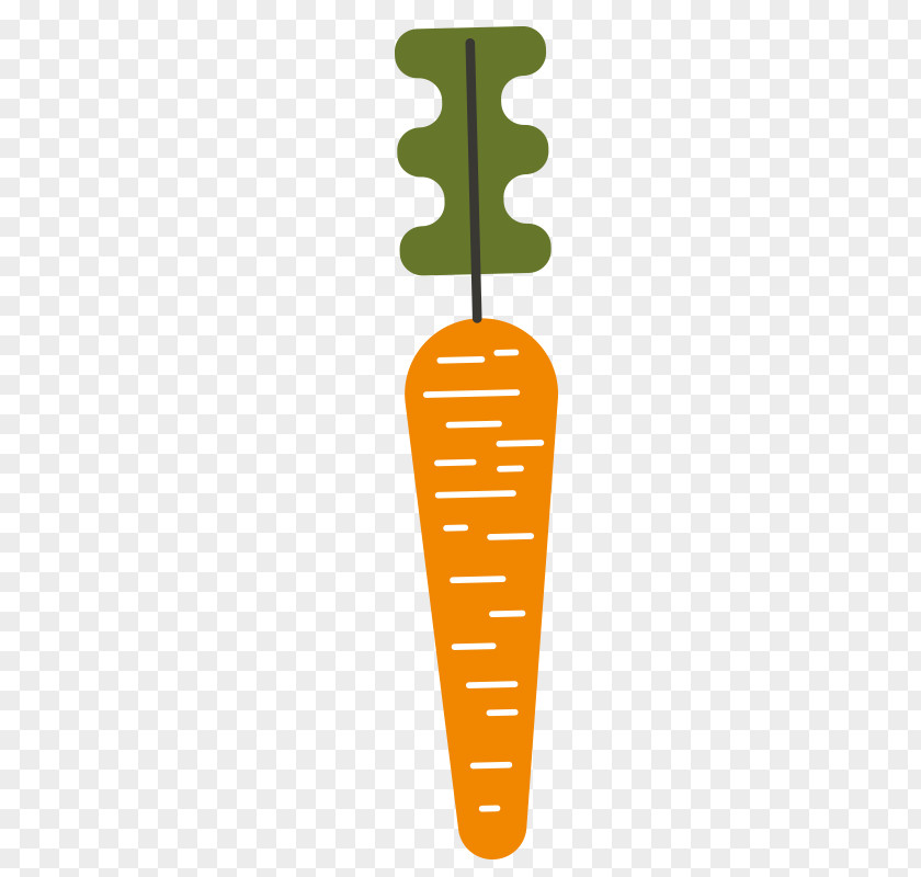 Carrot Vegetable PNG