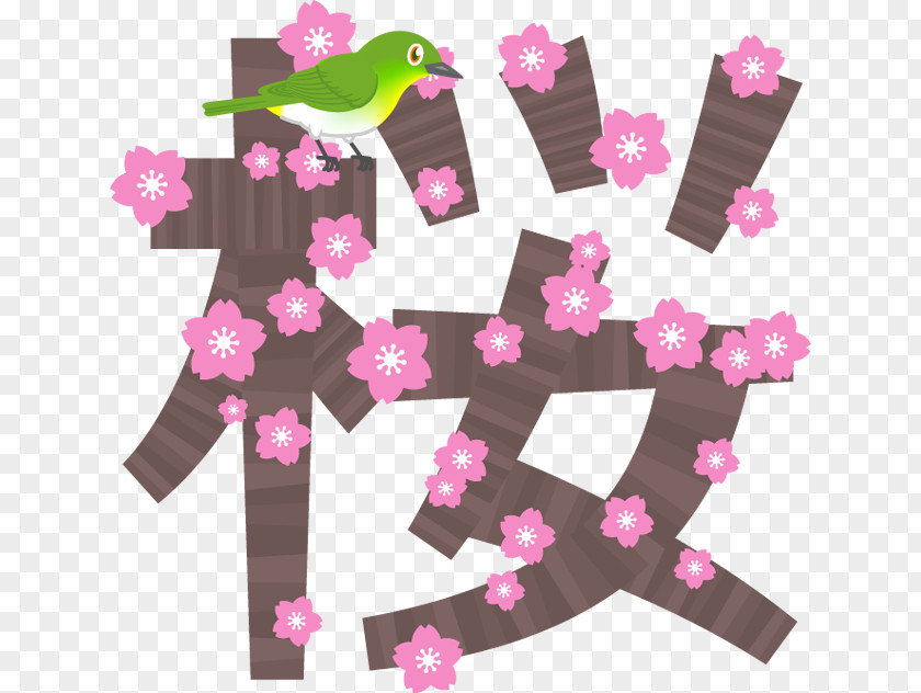 Cherry Blossom Japan Hanami PNG