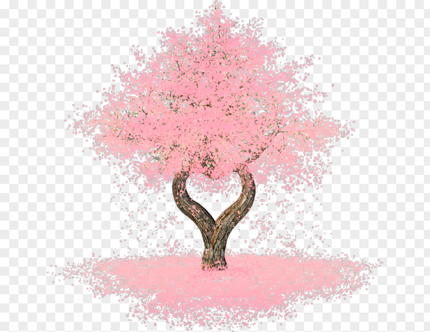 Cherry Blossom Tree Image Clip Art PNG