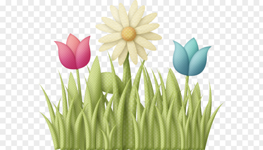 Flower Spring April Shower Clip Art PNG