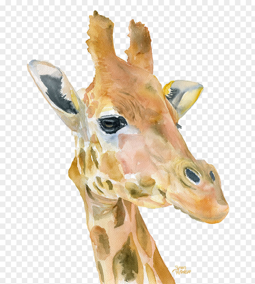 Giraffe Watercolor Painting Printmaking Art PNG