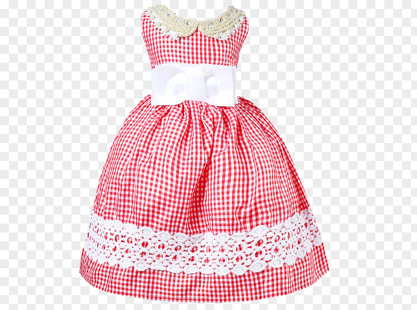 Lovely Lace Baby Skirt Dress PNG