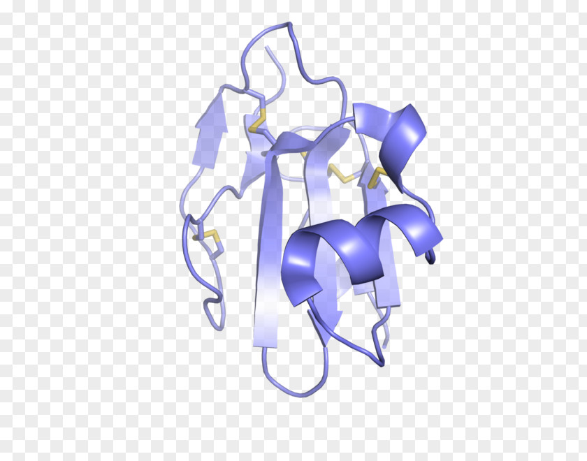 Proteins Stamp Three-finger Protein Domain Superfamily Amino Acid PNG