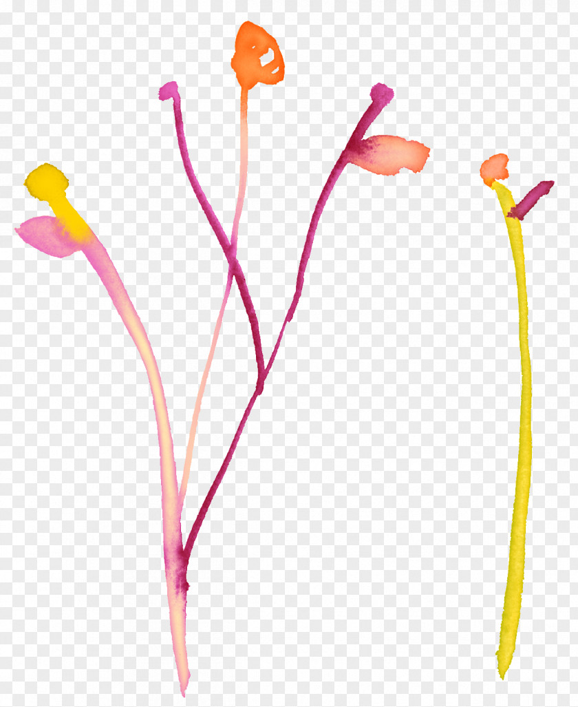 Simple Hand-painted Flower Pen Literary Bone Download Adobe Illustrator Illustration PNG