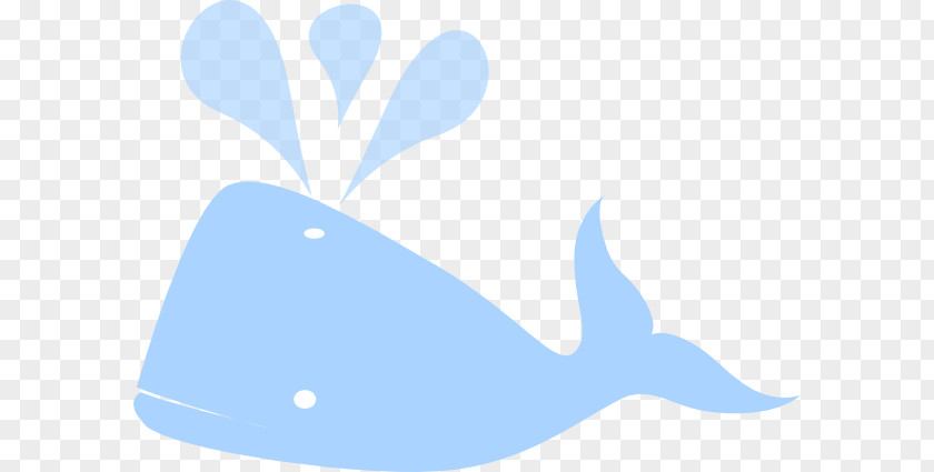 Whale Porpoise Marine Mammal Cetacea Animal PNG